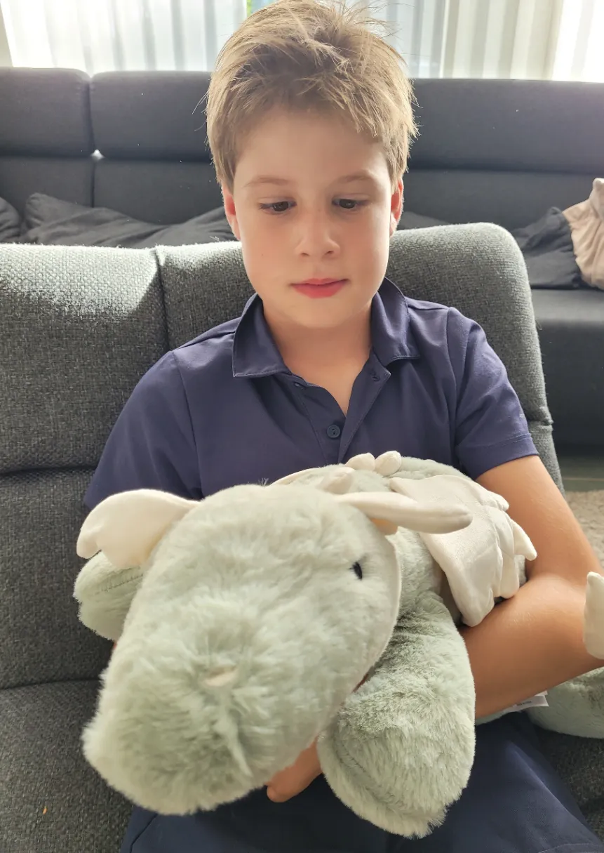 Educadora lesté dragon est un grand ami pour votre enfant. Le poids aide votre enfant à se calmer dans les moments de tension et de peur.