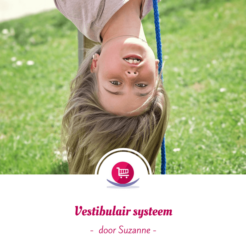 Système vestibulaire