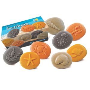 L’ensemble de pierres tactiles de mer se compose de 8 pierres avec la flore et la faune de la mer. Parfait pour l’exploration en plein air et les jeux d’enquête.